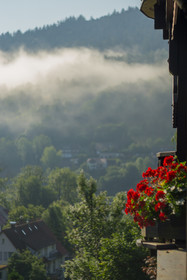 Krähenbad