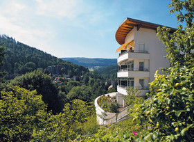 Schwarzwald Panorama