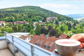 Schwarzwald Panorama
