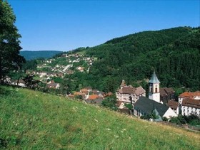 Hirsch