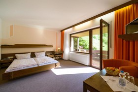 Zum letzten G'stehr - Black Forest River Side Hotel