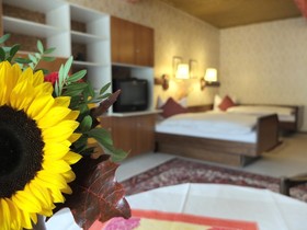 Hotel Valsana am Kurpark