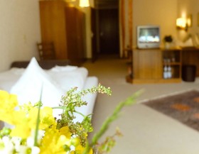 Hotel Valsana am Kurpark
