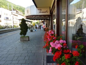 Traube