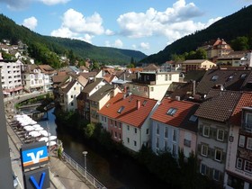 Traube