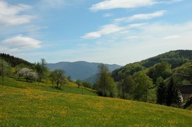 Ringhotel Schwarzwald Hotel Silberkönig