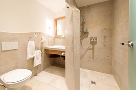 Ringhotel Schwarzwald Hotel Silberkönig