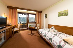 Ringhotel Schwarzwald Hotel Silberkönig
