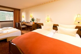 Ringhotel Schwarzwald Hotel Silberkönig