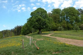 Ringhotel Schwarzwald Hotel Silberkönig