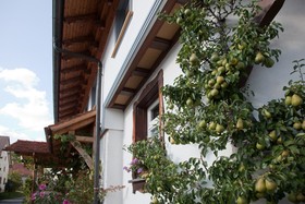 Pension Baarblick