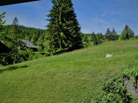 Schwarzwald-Pension Kräutle