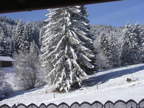 Schwarzwald-Pension Kräutle