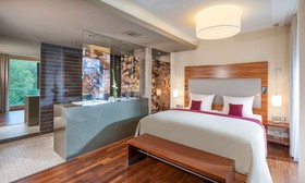 Dorint Thermenhotel Freiburg