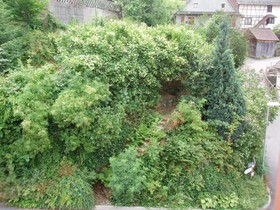 Gasthaus Grüner Baum