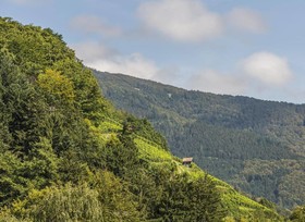 Zum goldenen Engel