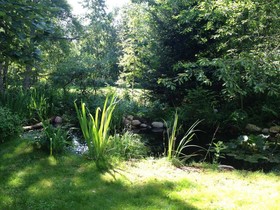 Hotel am Bach
