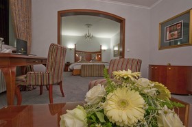 Parkhotel Adler