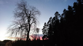 Schwarzwaldpark Hotel