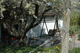 Appartement-Hotel im Weingarten