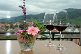 Renchtalblick
