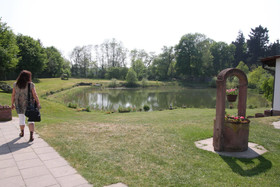 Nice Rooms Strasbourg - Europapark