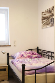 Nice Rooms Strasbourg - Europapark