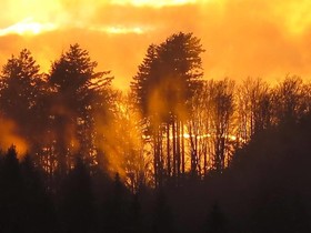 Berghof Grüner Baum
