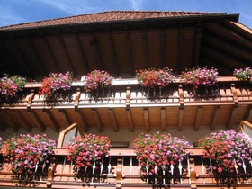 Gasthaus Zum Hirschen