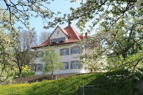 Schwanen