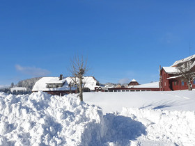 Hotel Sonnenmatte