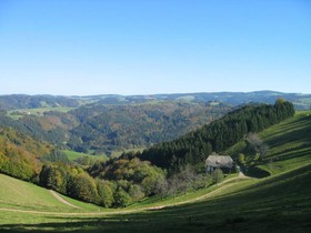 Zur Traube