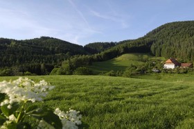 Best Western Plus Schwarzwald Residenz
