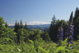 Best Western Plus Schwarzwald Residenz