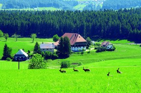Best Western Plus Schwarzwald Residenz