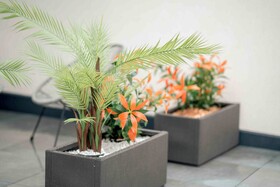 Central Hotel & Lounge