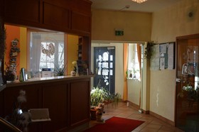 Auerhahn am Rennsteig Kurhotel