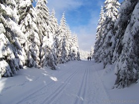 Wagners Sporthotel Oberhof