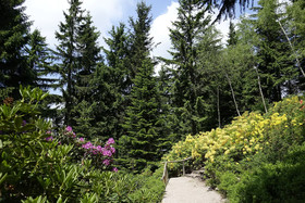 Pension Haus Saarland