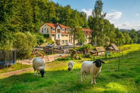 Waldmühle