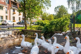 Waldmühle