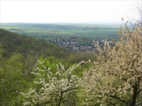 Green Lemon Haus Krähenhütte