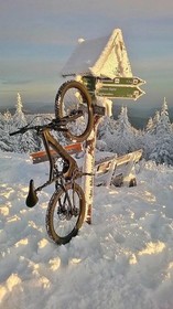 Rennsteighöhe Waldhotel