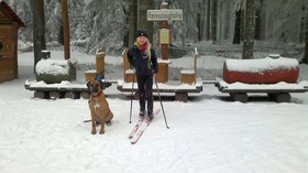 Rennsteighöhe Waldhotel