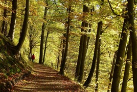 Hotel And Gasthof Garkuche
