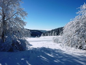 Flair Hotel Waldfrieden