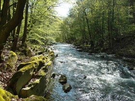 Flair Hotel Waldfrieden