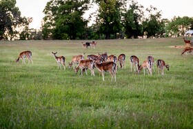Ferienhof Domane Groschwitz