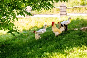 Ferienhof Domane Groschwitz