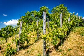 Ferienhof Domane Groschwitz